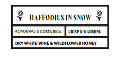 Daffodils in Snow Blend